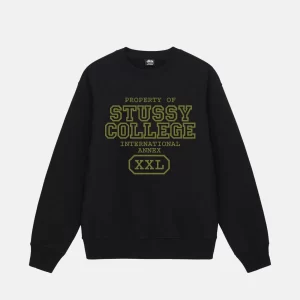 STUSSY PROPERTY OF CREW